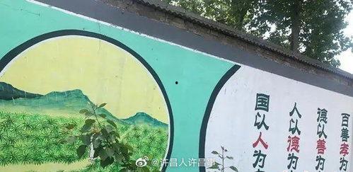 禹州市最新消息爆料新闻,揭秘神秘事件背后的真相 第1张 禹州市最新消息爆料新闻,揭秘神秘事件背后的真相 第1张