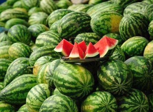 吃瓜网红韩靖格,吃瓜界的风云人物 第2张 吃瓜网红韩靖格,吃瓜界的风云人物 第2张